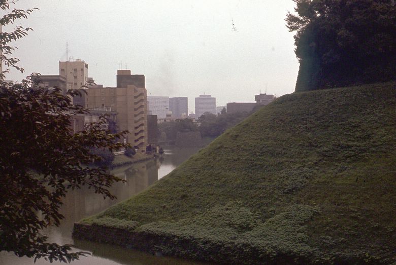 d032c278.jpg