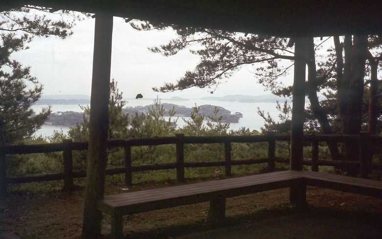 d032c355.jpg