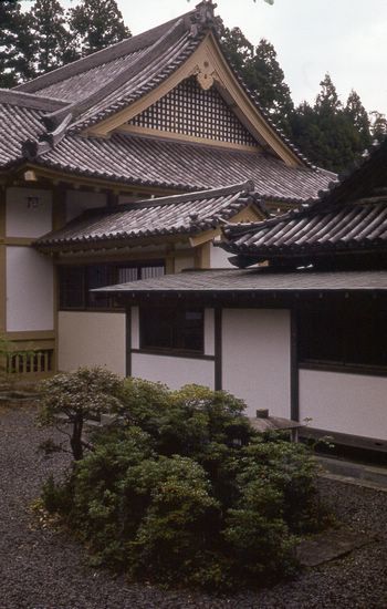 d032c365.jpg