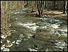 060415_PICT0104.JPG
