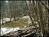 060415_PICT0105.JPG