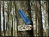 060415_PICT0106.JPG