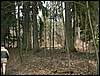 060415_PICT0107.JPG