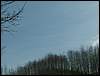 060415_PICT0123.JPG