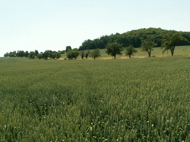060705_PICT0087.JPG
