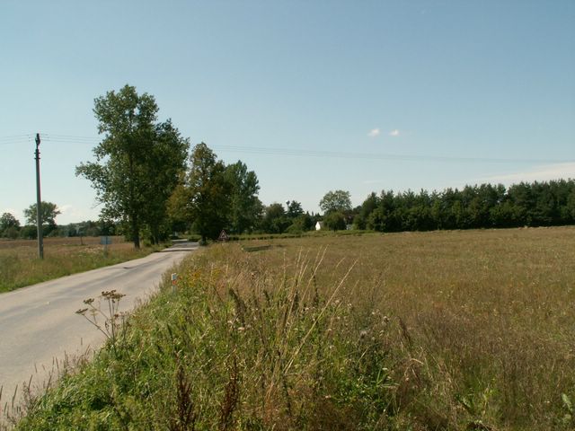 060817_PICT0033.JPG