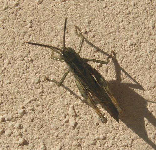 060817_PICT0037.JPG
