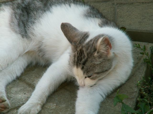 060909_PICT0097.JPG