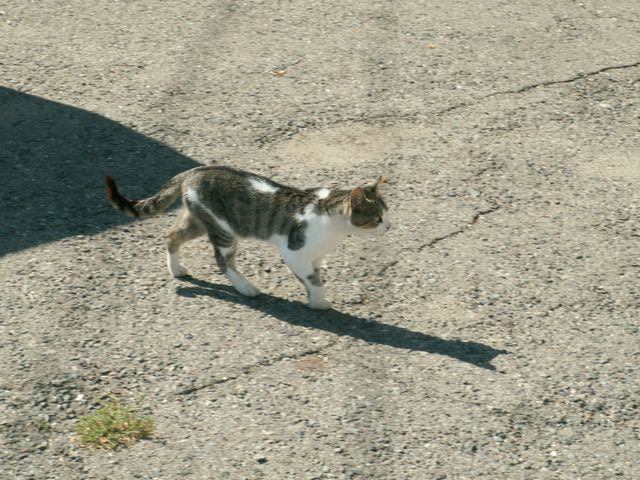 060909_PICT0098.JPG