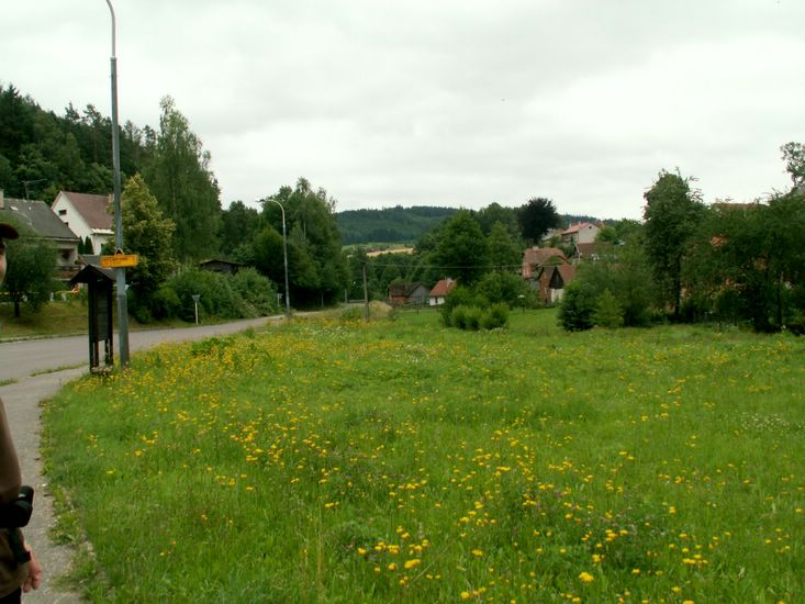 070706_PICT0093.JPG