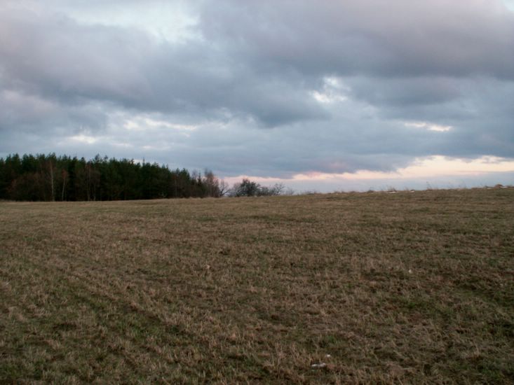080322_PICT0113.JPG