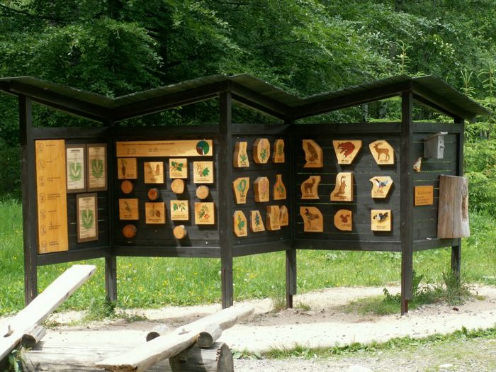 PICT0048.JPG