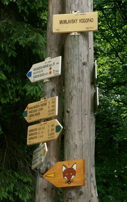 PICT0051.JPG