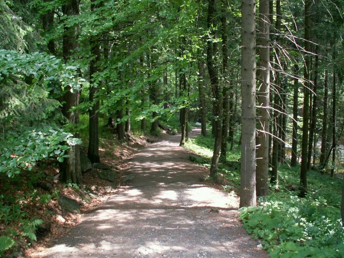 PICT0052.JPG