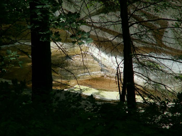 PICT0053.JPG