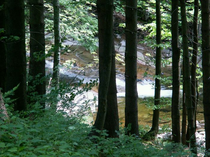 PICT0054.JPG