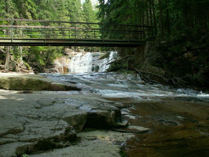 PICT0055.JPG