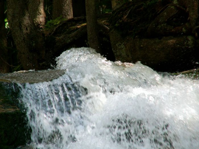 PICT0057.JPG
