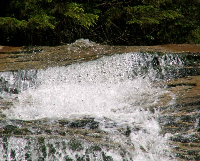 PICT0058.JPG
