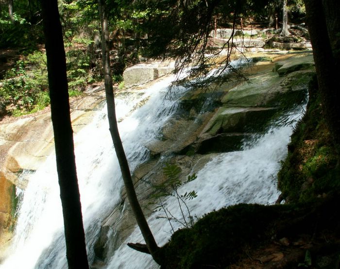 PICT0064.JPG