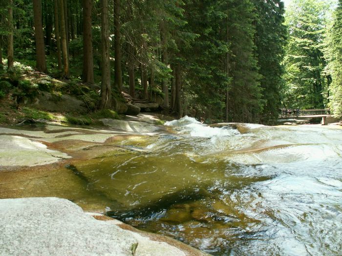 PICT0076.JPG