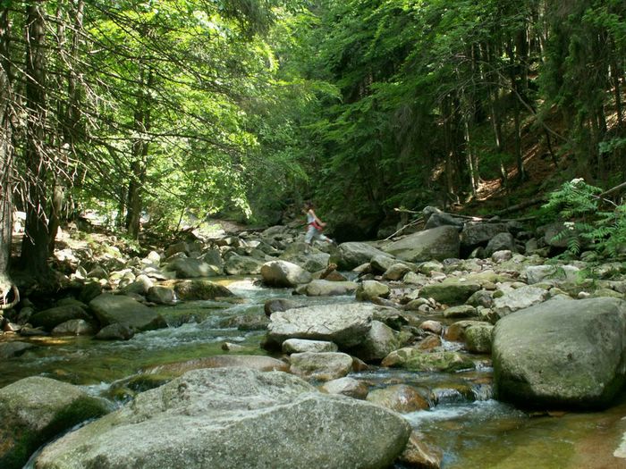 PICT0080.JPG