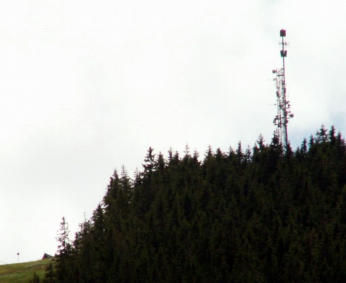 PICT0091.JPG