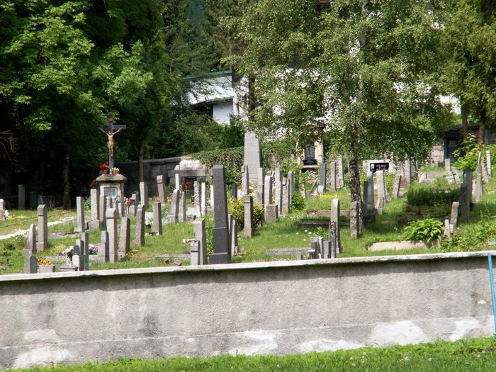 PICT0098.JPG