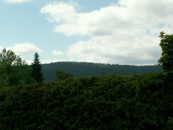 PICT0107.JPG