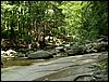 PICT0078.JPG