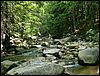 PICT0080.JPG