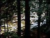 PICT0088.JPG