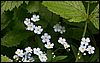 PICT0089.JPG