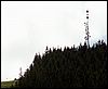 PICT0091.JPG