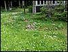 PICT0093.JPG