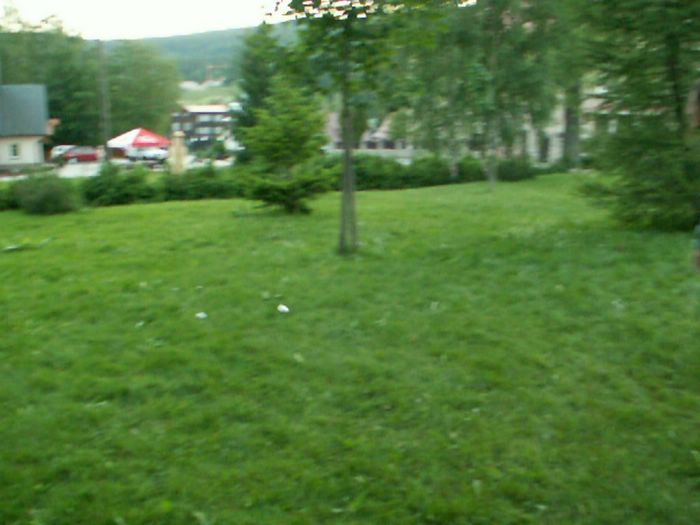 PICT0069.JPG