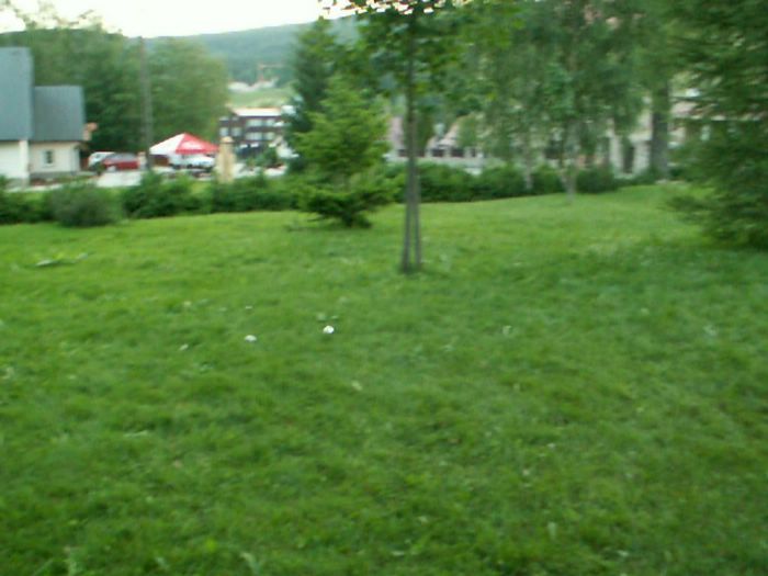 PICT0070.JPG