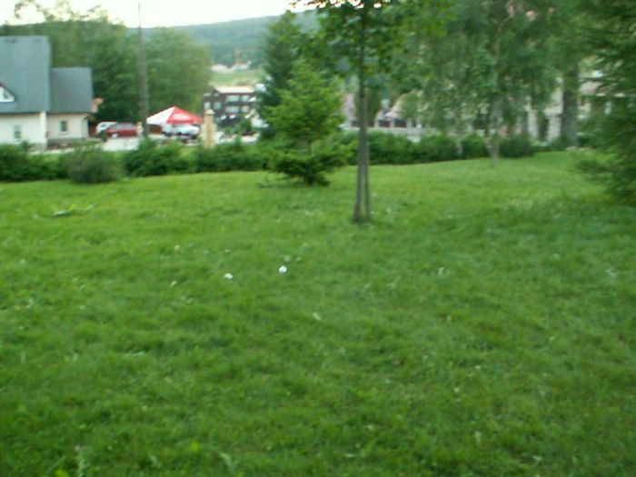 PICT0071.JPG