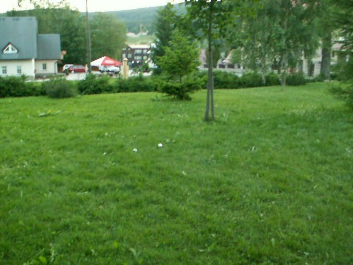 PICT0072.JPG