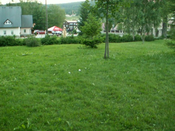 PICT0073.JPG