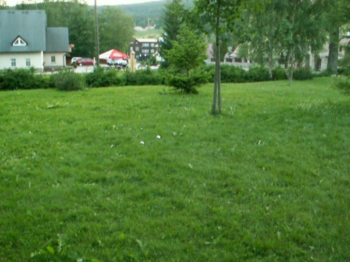 PICT0074.JPG