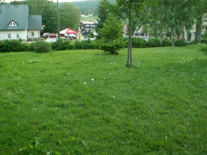 PICT0075.JPG