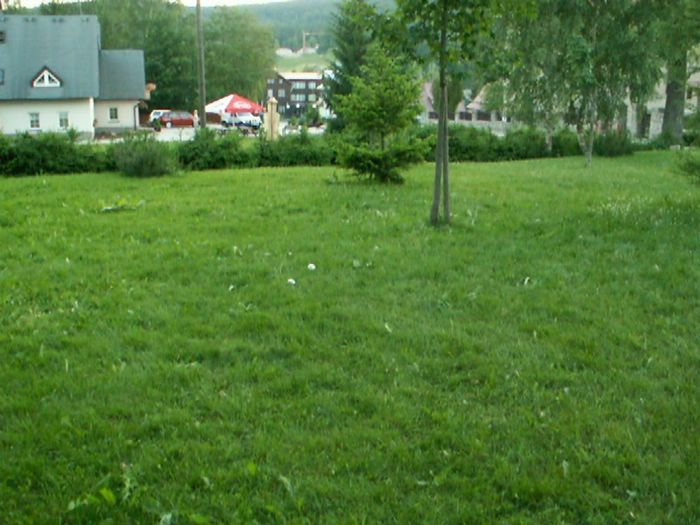 PICT0076.JPG