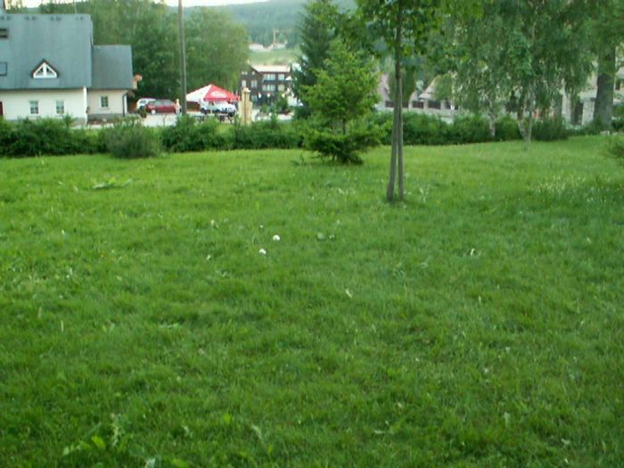 PICT0077.JPG