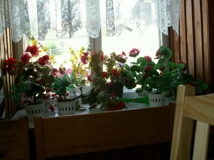 PICT0067.JPG