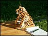 PICT0092.JPG