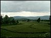 070605_PICT0070.JPG