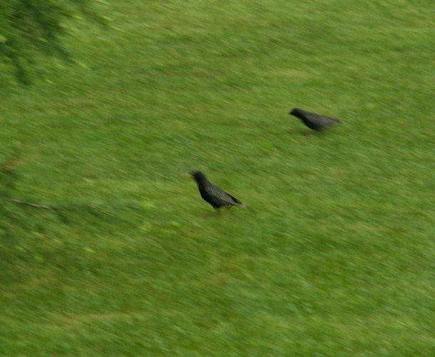 070608_PICT0010.JPG