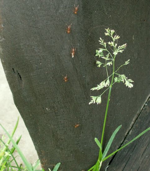 070609_PICT0010.JPG