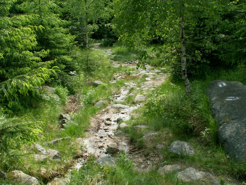 090610_PICT0081.JPG